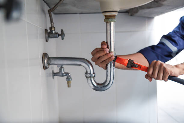 Best Clogged Drain Plumber  in Fallon, NV