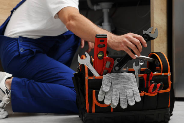 Best Clogged Drain Plumber  in Fallon, NV
